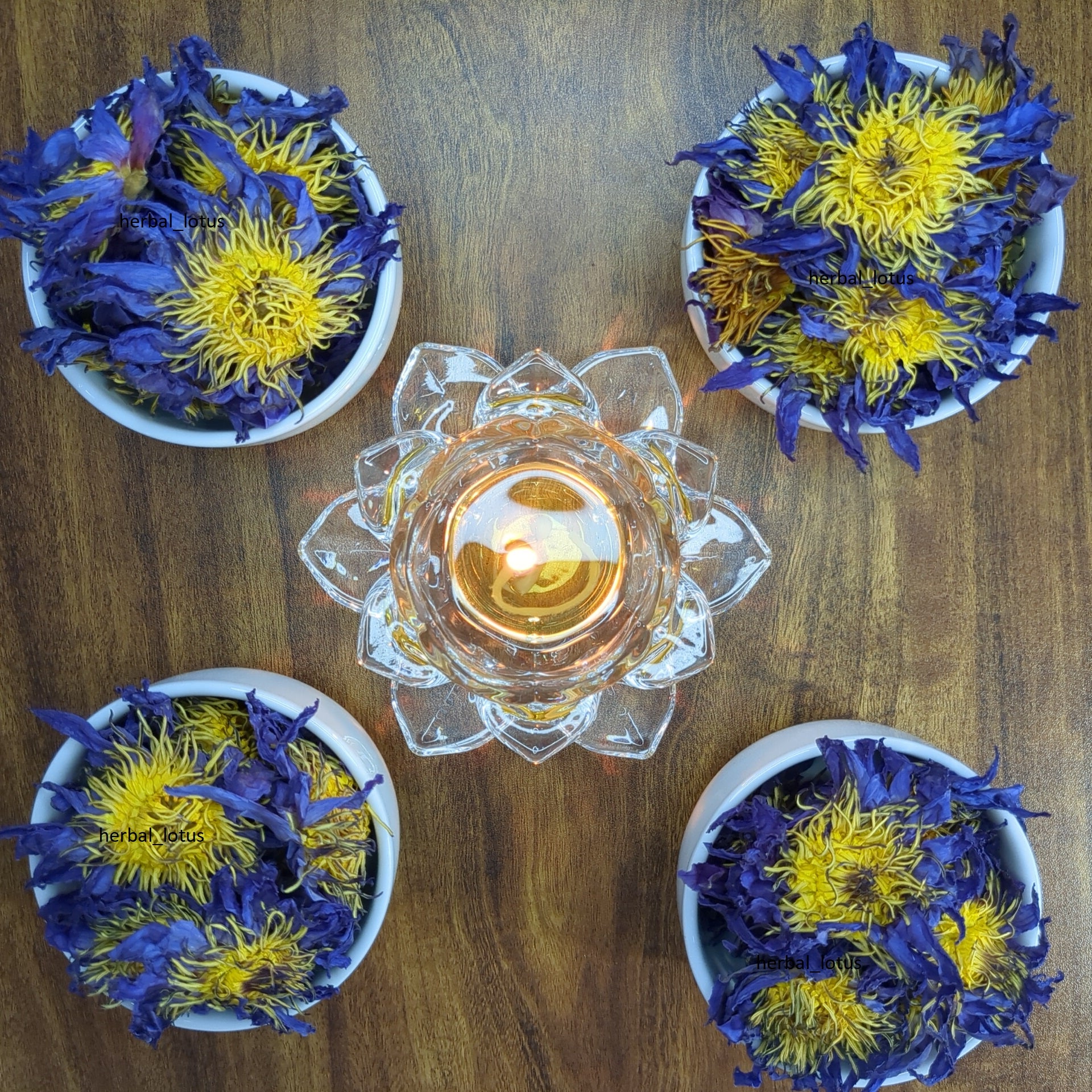 Blue Lotus Flower Dried Nymphaea Caerulea | Ceylon Natural Organic Blue Tea | Lucid Dream Herbal Tea
